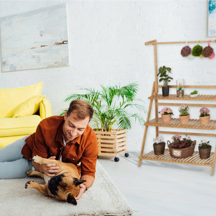 Blumenständer aus Bambus mit Aufhängestange
