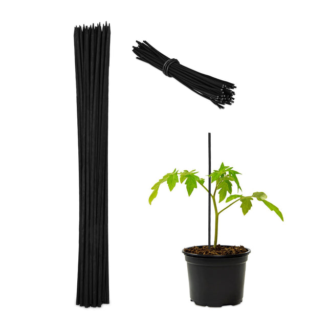 Bâtonnets de fleurs 30 cm en lot de 50