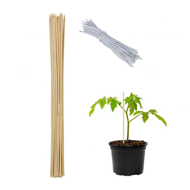 Tuteurs de fleurs 60 cm en lot de 50