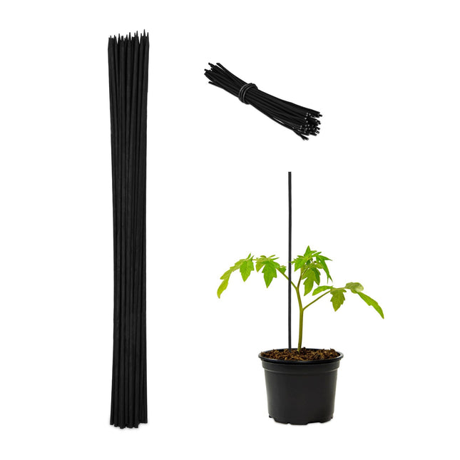 Tuteurs de fleurs 60 cm en lot de 50