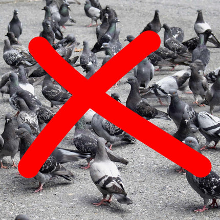 Répulsif anti-oiseaux Flying Crow
