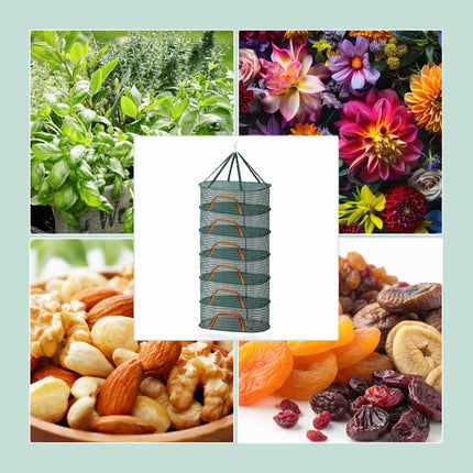 Filet de séchage ovale pliable pour herbes, fruits et plus encore