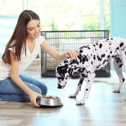 Faltbarer Hundekäfig