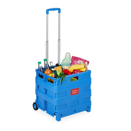 Chariot de courses pliable avec poignée télescopique, capacité de 35 kg