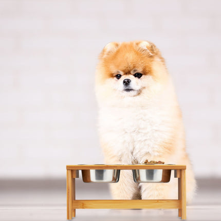 Gamelles pour chiens