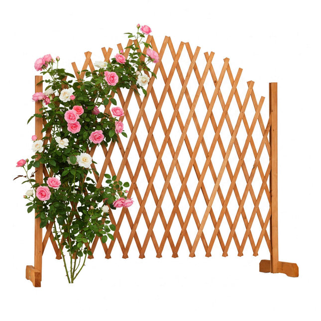 Treillis autoportant pour plantes grimpantes - Treillis en bois ajustable