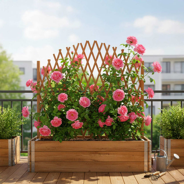 Treillis autoportant pour plantes grimpantes - Treillis en bois ajustable