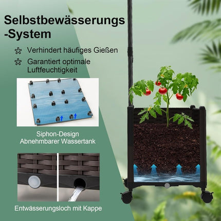 Arche de jardin avec jardinières, treillis métallique pour plantes grimpantes