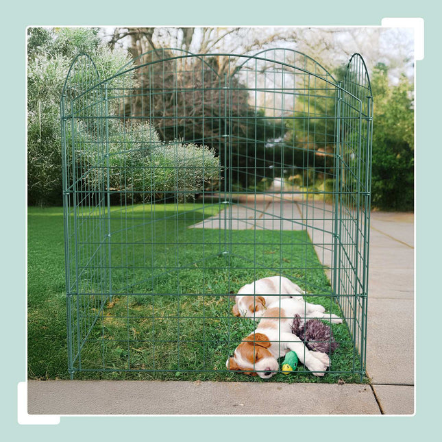 Clôture de jardin, 5 panneaux arqués, bordure en métal