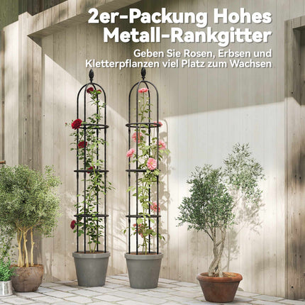 Ensemble de treillis pour obélisque de jardin, acier, 174 cm, lot de 2