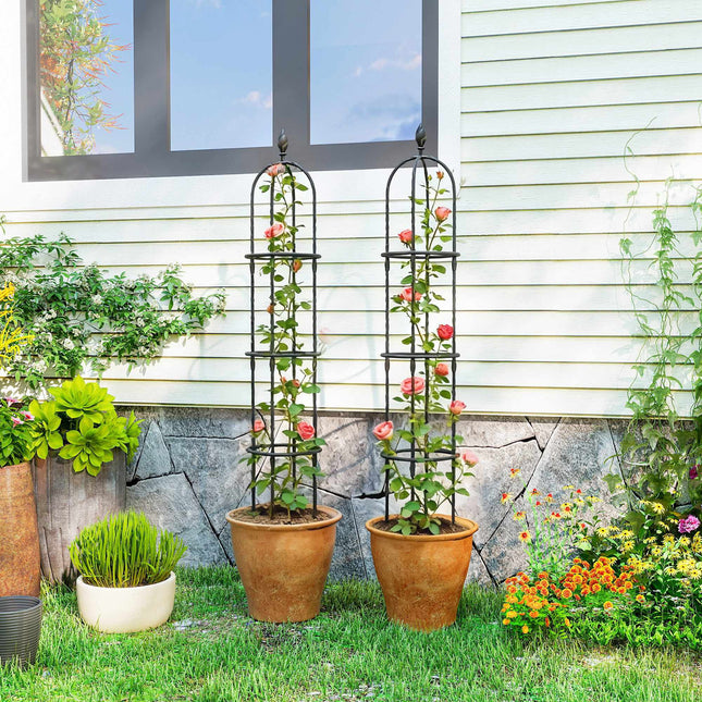 Ensemble de treillis pour obélisque de jardin, acier, 174 cm, lot de 2
