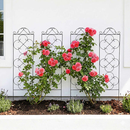 Ensemble de 4 treillis de jardin, support métallique pour plantes grimpantes