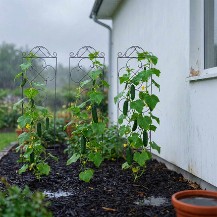 Ensemble de 4 treillis de jardin, support métallique pour plantes grimpantes