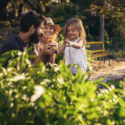 Banc de jardin en bois et fonte