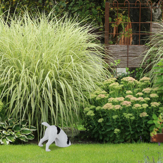 Gartenfigur grabender Hund
