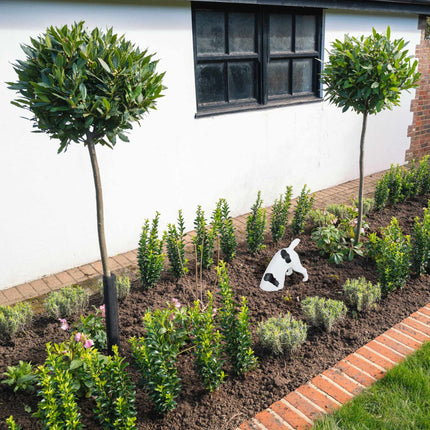 Figurine de jardin en train de creuser un chien
