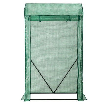 Serre de jardin 100 x 50 x 170 cm Serre de jardin de plain-pied Verte