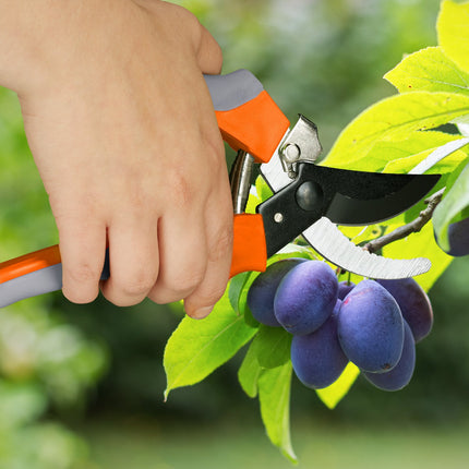 Cisaille de jardin Bypass en gris-orange