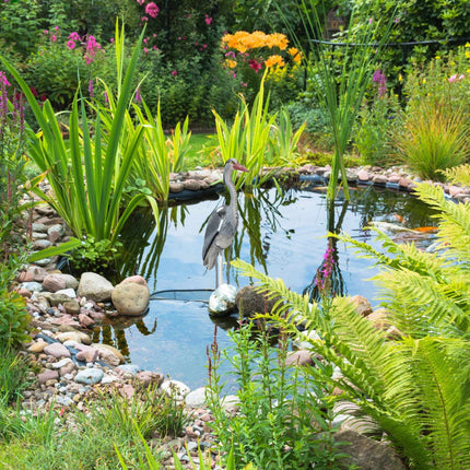 Gartenstatue Reiher