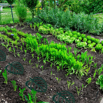 Marches de jardin en pierre et feuille