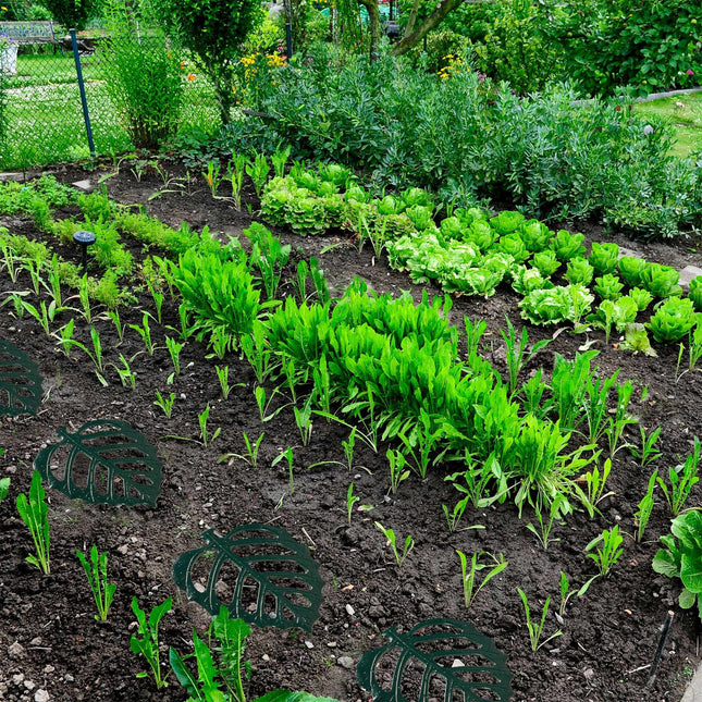 Marches de jardin en pierre et feuille