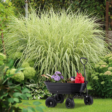 Chariot de jardin avec fonction d'inclinaison