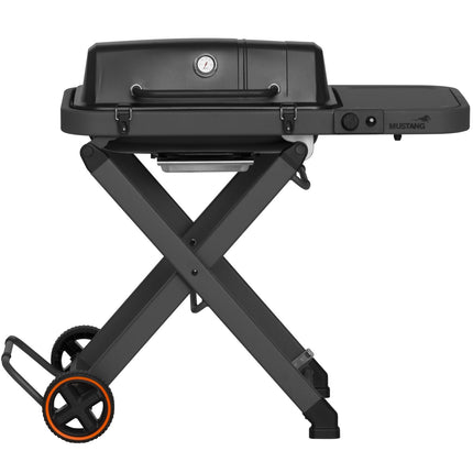 Gas grill Fold