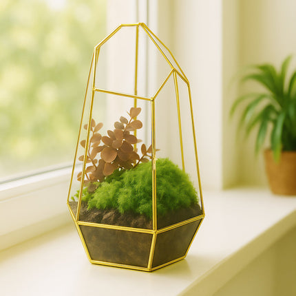 Geometrisches Glas-Terrarium für Sukkulenten und Luftpflanzen