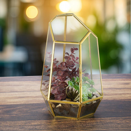 Geometrisches Glas-Terrarium für Sukkulenten und Luftpflanzen
