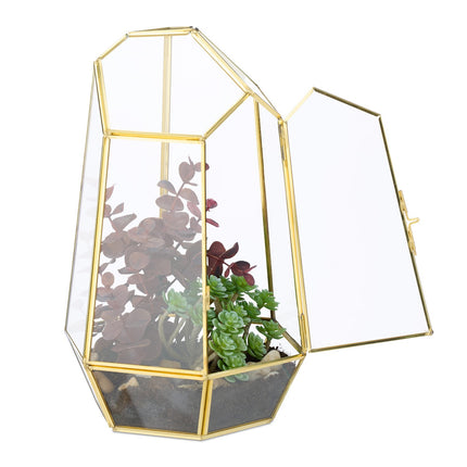 Geometrisches Glas-Terrarium für Sukkulenten und Luftpflanzen