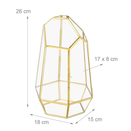 Geometrisches Glas-Terrarium für Sukkulenten und Luftpflanzen