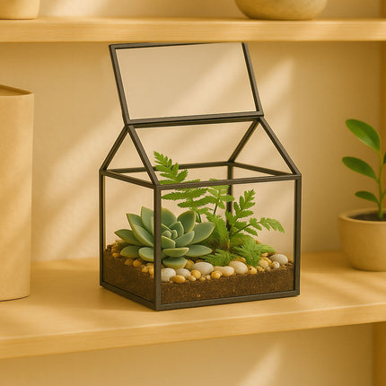 Glashaus-Terrarium für Zimmerpflanzen