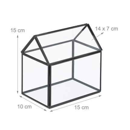 Glashaus-Terrarium für Zimmerpflanzen