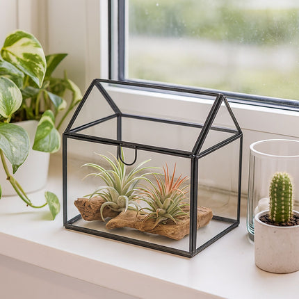 Terrarium en verre pour plantes, en forme de maison, format compact
