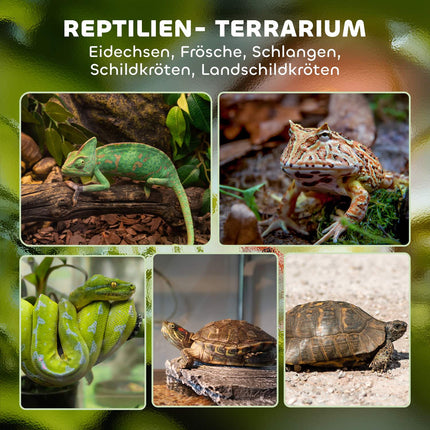 Terrarium en verre pour reptiles, base étanche, verrouillage sécurisé
