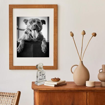 Décoration funéraire pour chiens