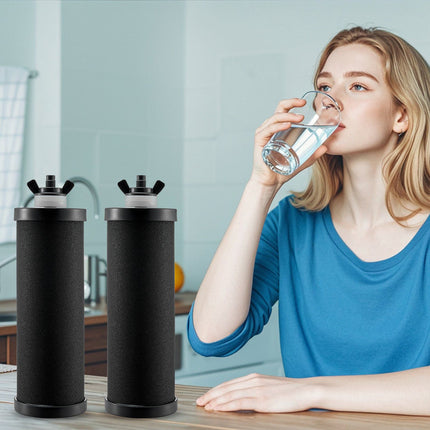 Gravity Water Filter Replacement Cartridges, 2-Pack, Activated Carbon