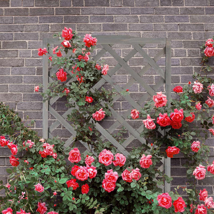 Jardinière grise avec treillis