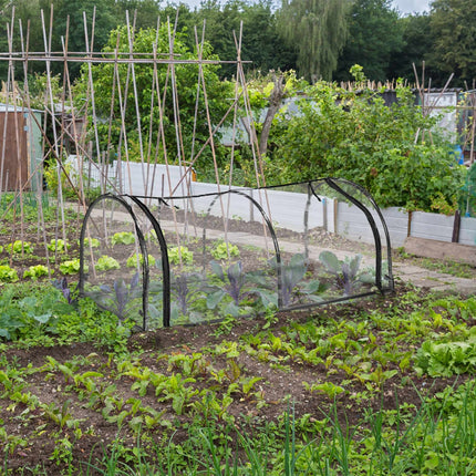 Serre tunnel PVC avec porte