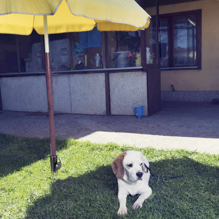 Manchon de sol pour parasol