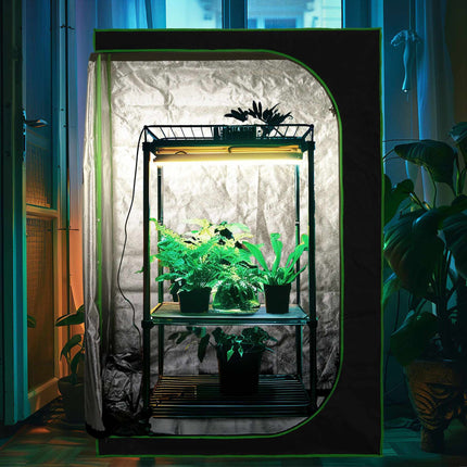Boîte de culture en intérieur