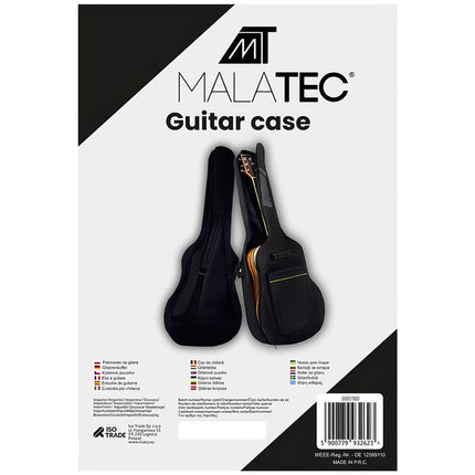 Guitar case
