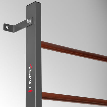 Gymnastic Wall Bars 230.5 cm with 11 Rungs for Home Gym, Wall Mounted, Graphite