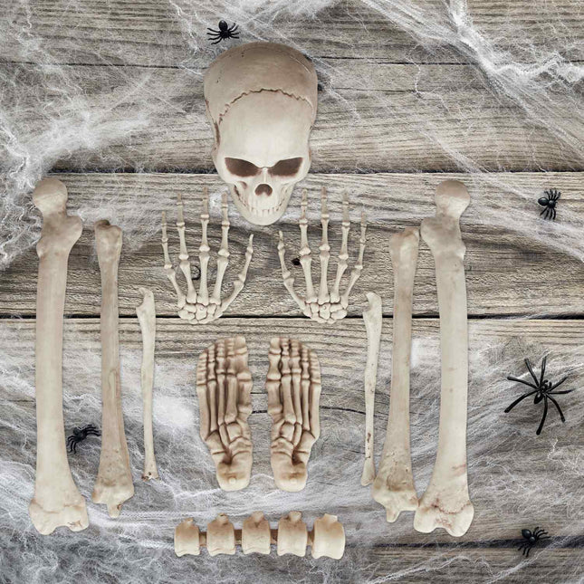 Ensemble de décorations de squelettes d'Halloween - 12 os