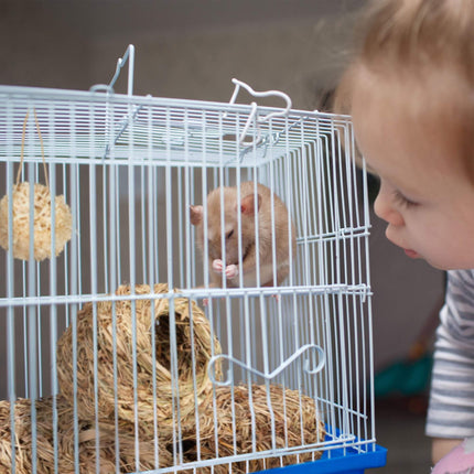 Ensemble d'accessoires pour hamster 5 pièces.