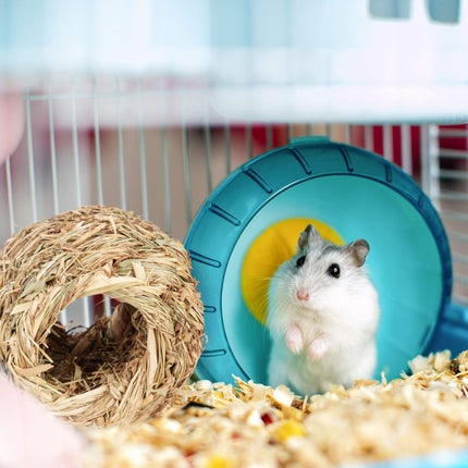 Ensemble d'accessoires pour hamster 5 pièces.