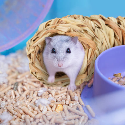 Hamster-Zubehörset 7-tlg.