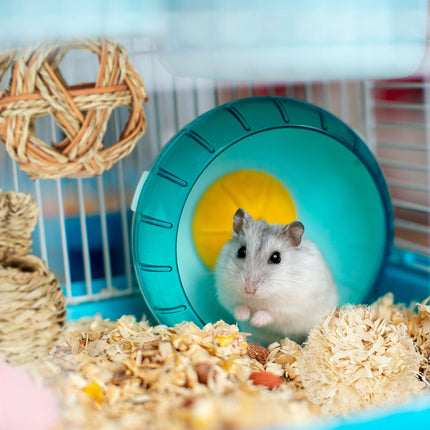 Hamster-Zubehörset 7-tlg.
