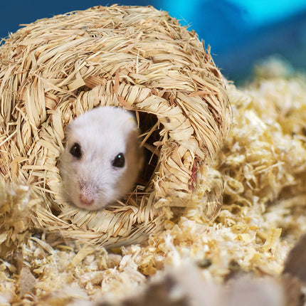 Hamster-Zubehörset 7-tlg.