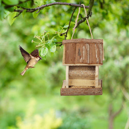 Mangeoire à oiseaux suspendue